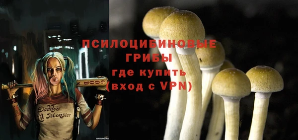 ECSTASY Каменногорск