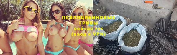 ECSTASY Каменногорск
