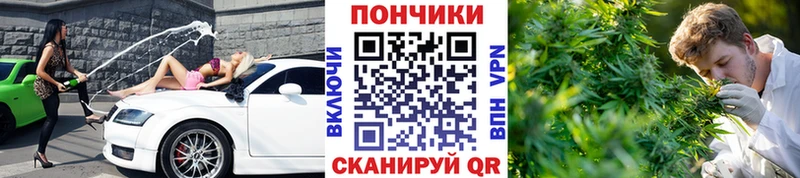 Купить  Чапаевск  Каннабис план 